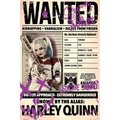 Poster Import Poster Import XPE160528 Harley Quinn - Wanted Poster Print; 24 x 36 XPE160528
